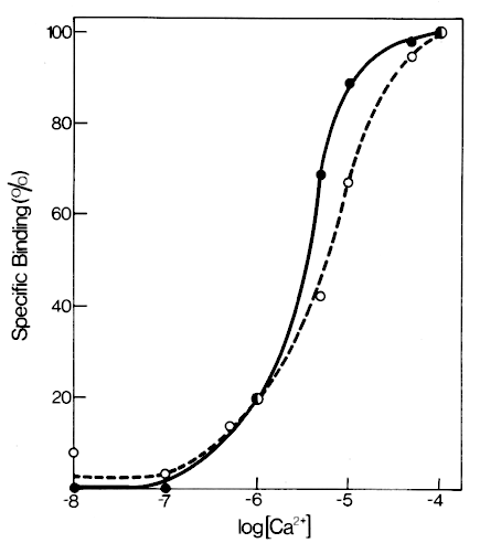 Calcium dependent binding of our cytosol proteins to chromaffin granule membranes